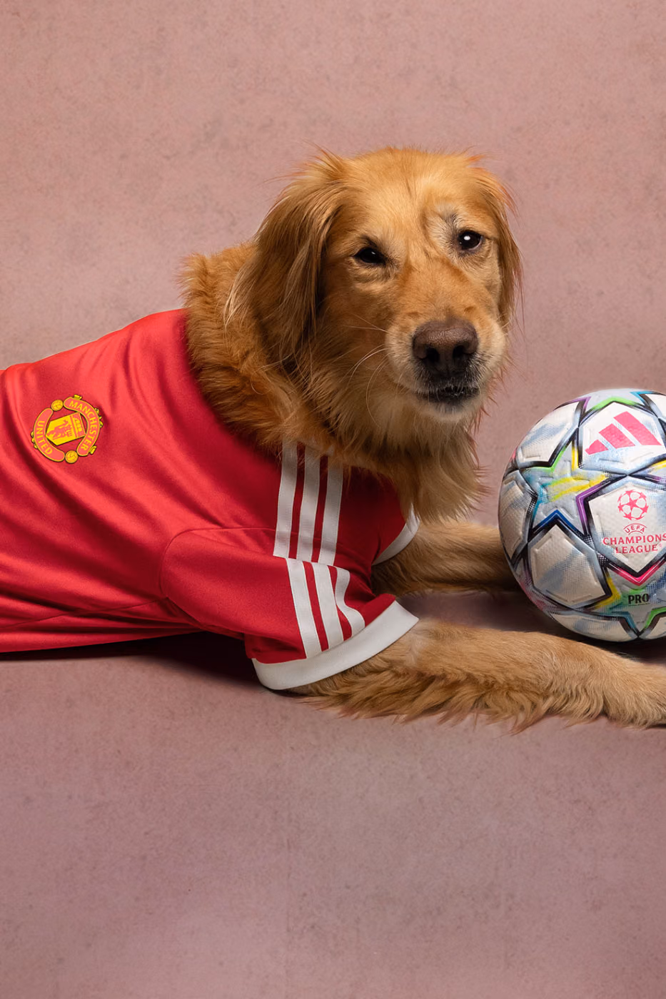 adidas Originals’tan Dört Ayaklılara Forma: FC Pets Koleksiyonu Detay