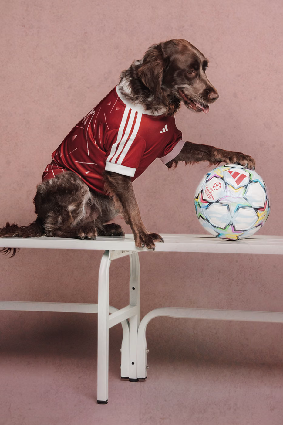 adidas Originals’tan Dört Ayaklılara Forma: FC Pets Koleksiyonu Detay