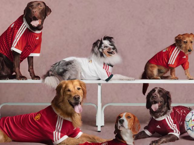 adidas Originals’tan Dört Ayaklılara Forma: FC Pets Koleksiyonu