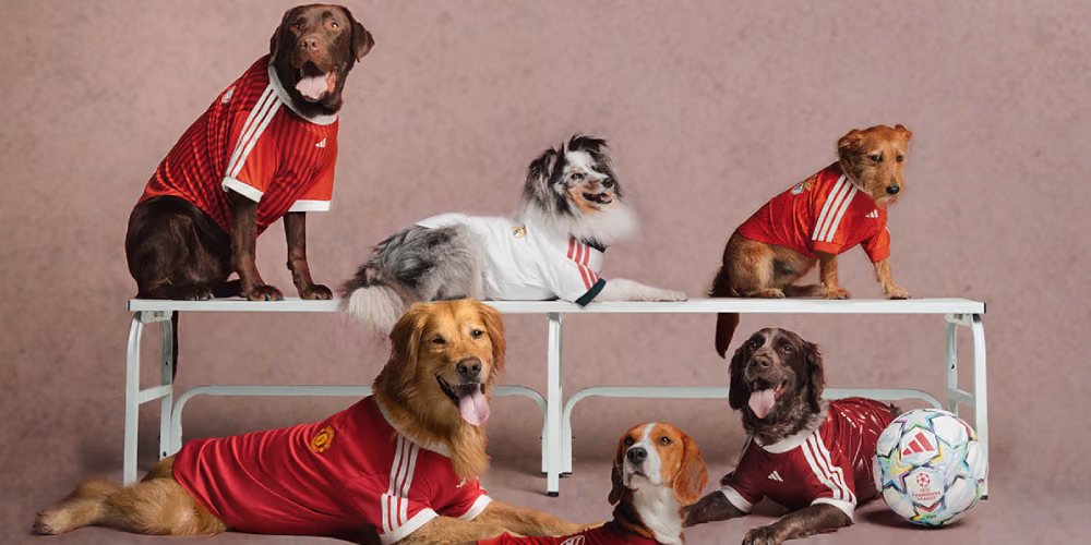 adidas Originals’tan Dört Ayaklılara Forma: FC Pets Koleksiyonu Kapak Görseli